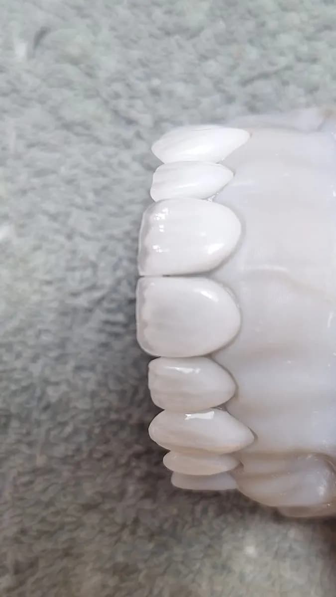 AL Saad Dental Clinic — صورة 6