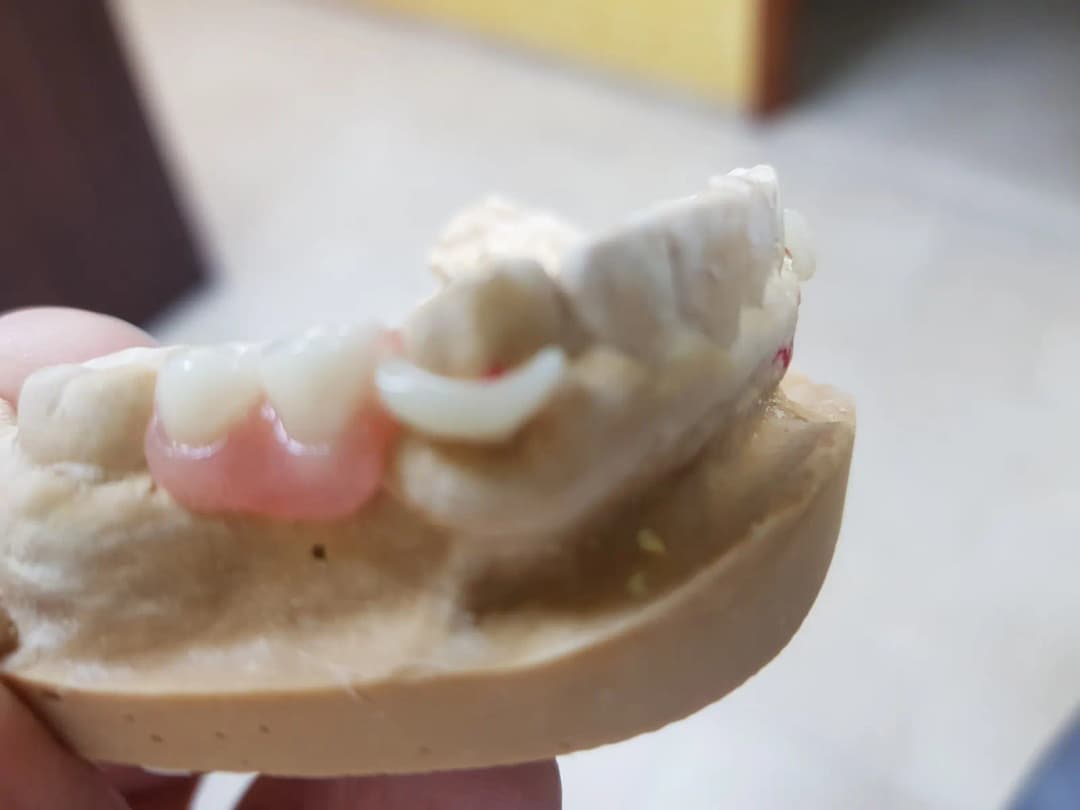 AL Wahdah Dental Laboratory — صورة 6