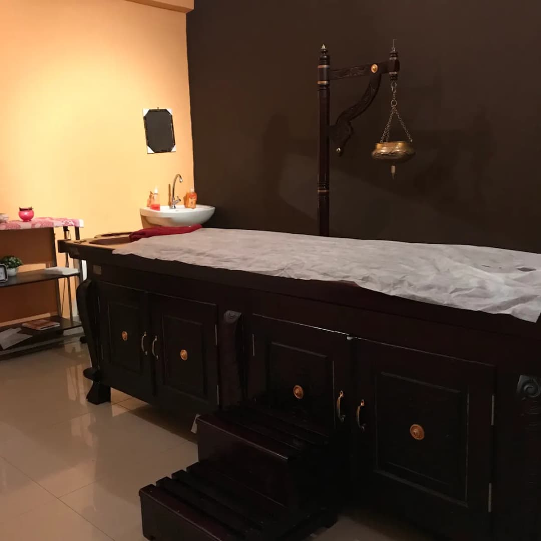 Dalma Ayurvedic Rehabilitation photo 4
