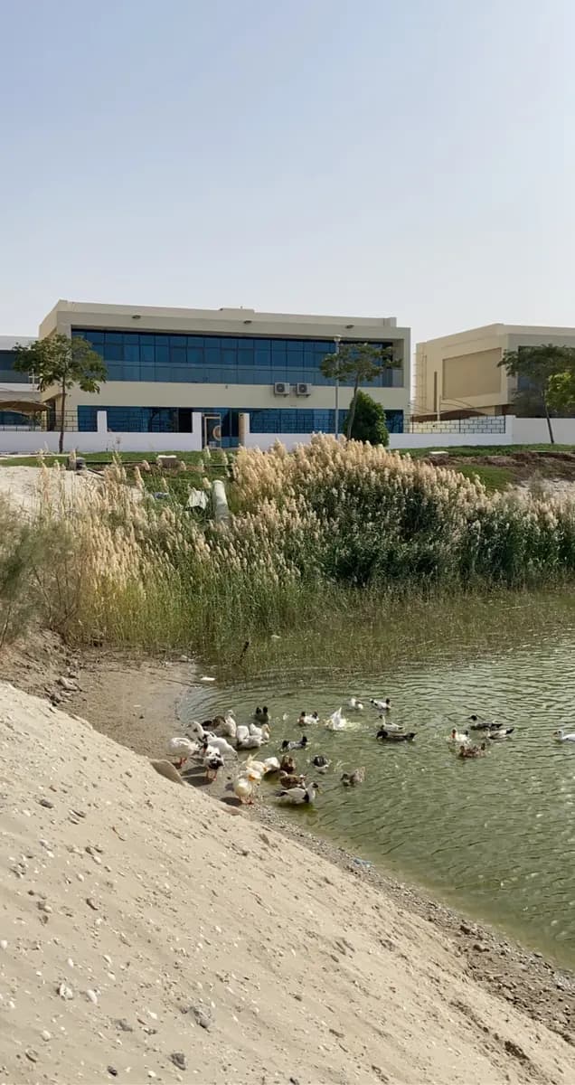 Flow Medical Center And Physiotherapy — صورة 7