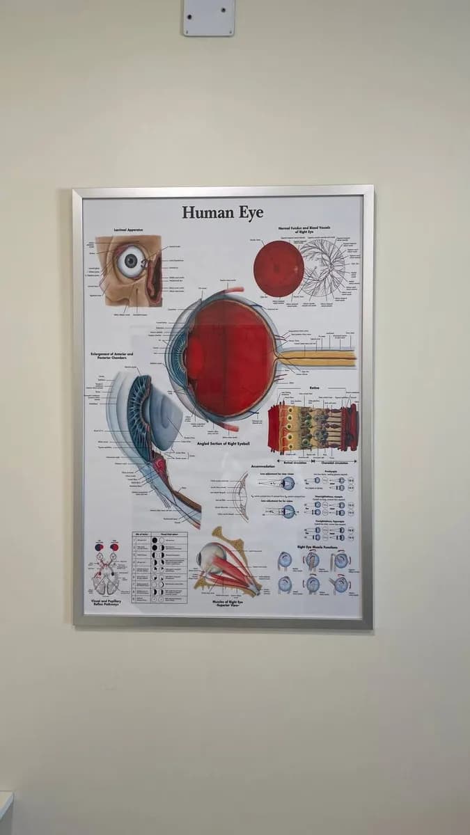 Crystal Vision Pediatric and Adult Eye Clinic by Prof. Igor Aznauryan — صورة 8