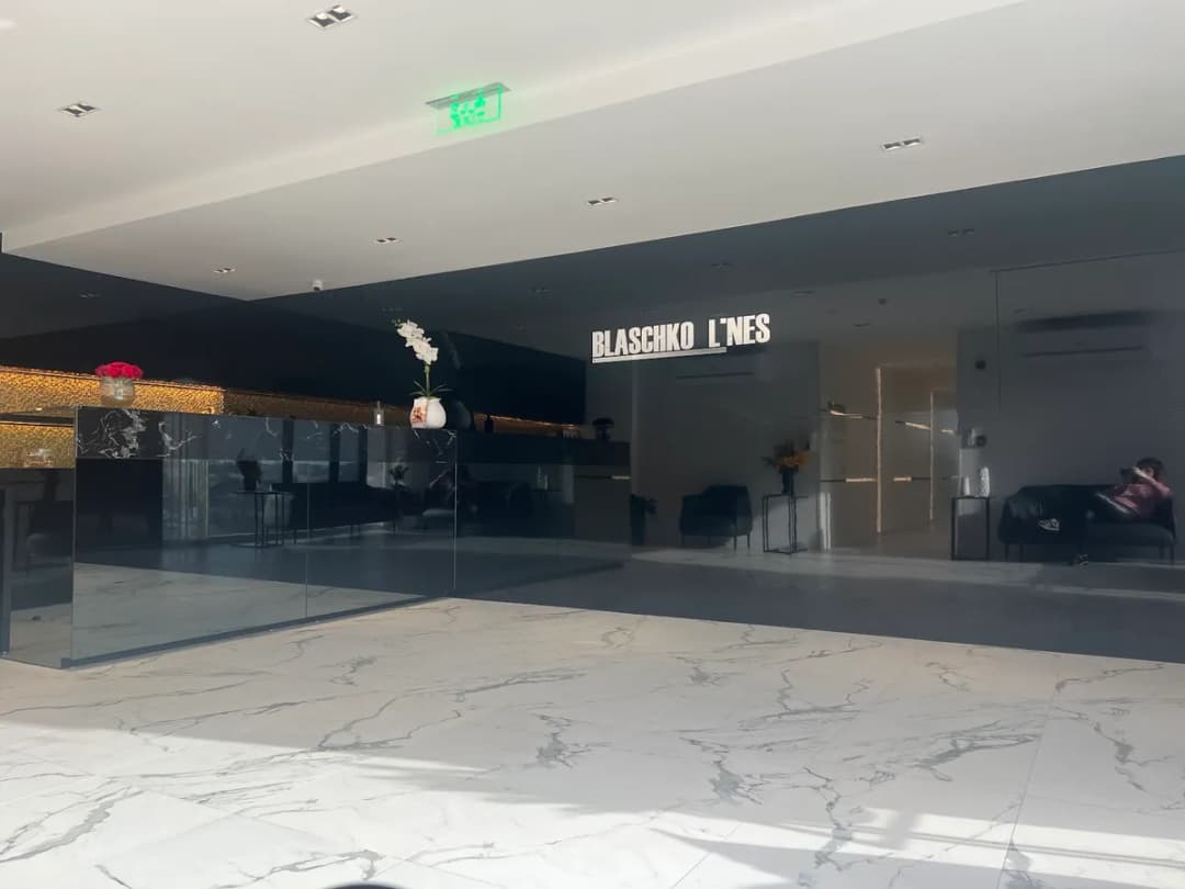 Blaschko Lines Center — صورة 3