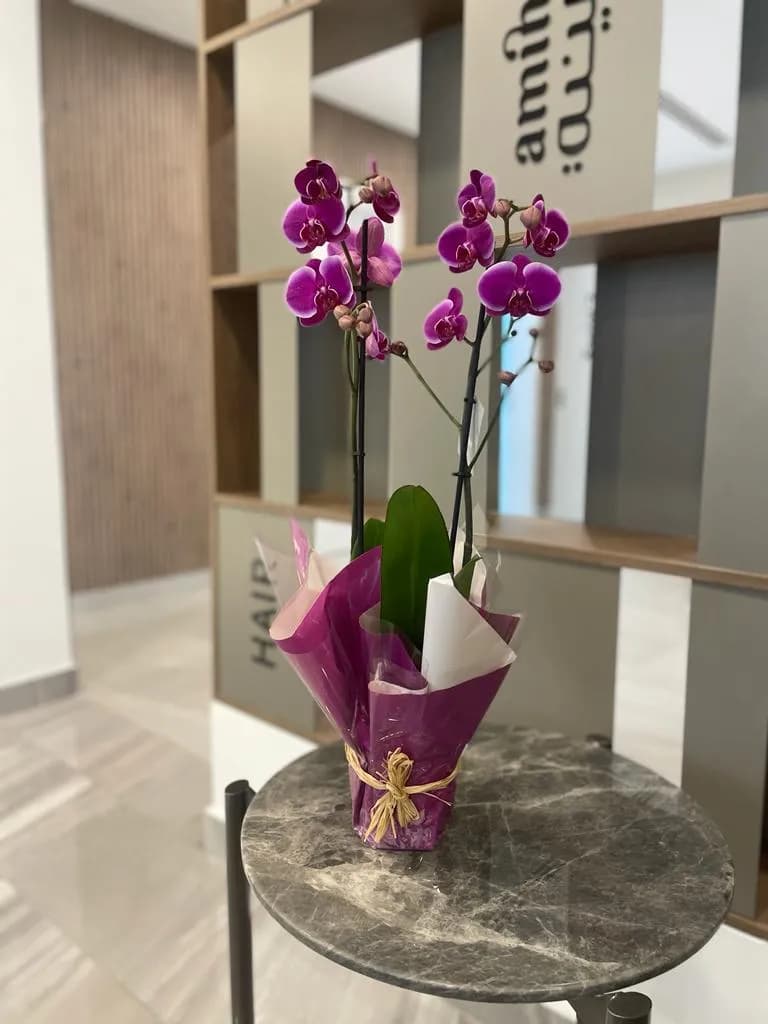 DR AMINA TURIF CENTER (Saar) — صورة 8