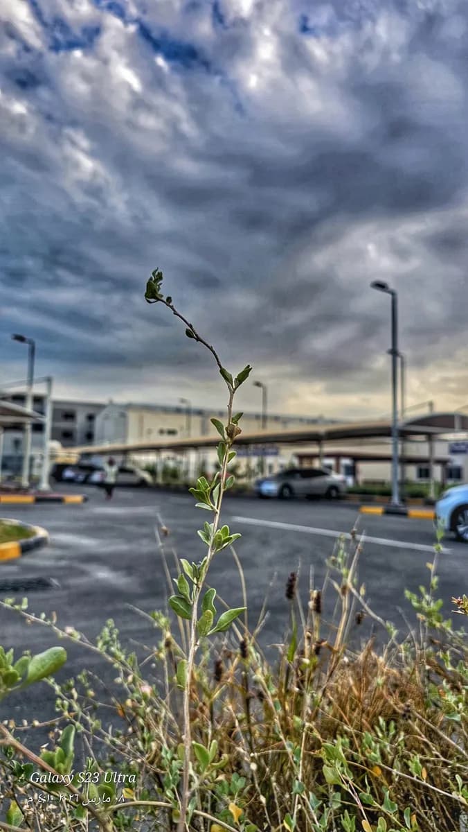 Muharraq Special Health Care Center — صورة 7