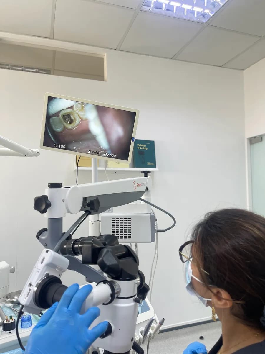 Almansoori Dental and Medical — صورة 5