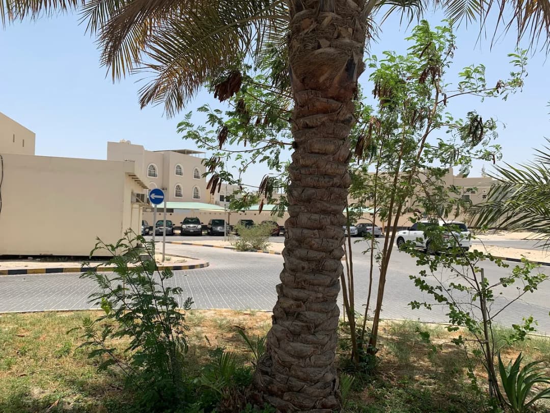 Hamed Kanoo Health Centre — صورة 3