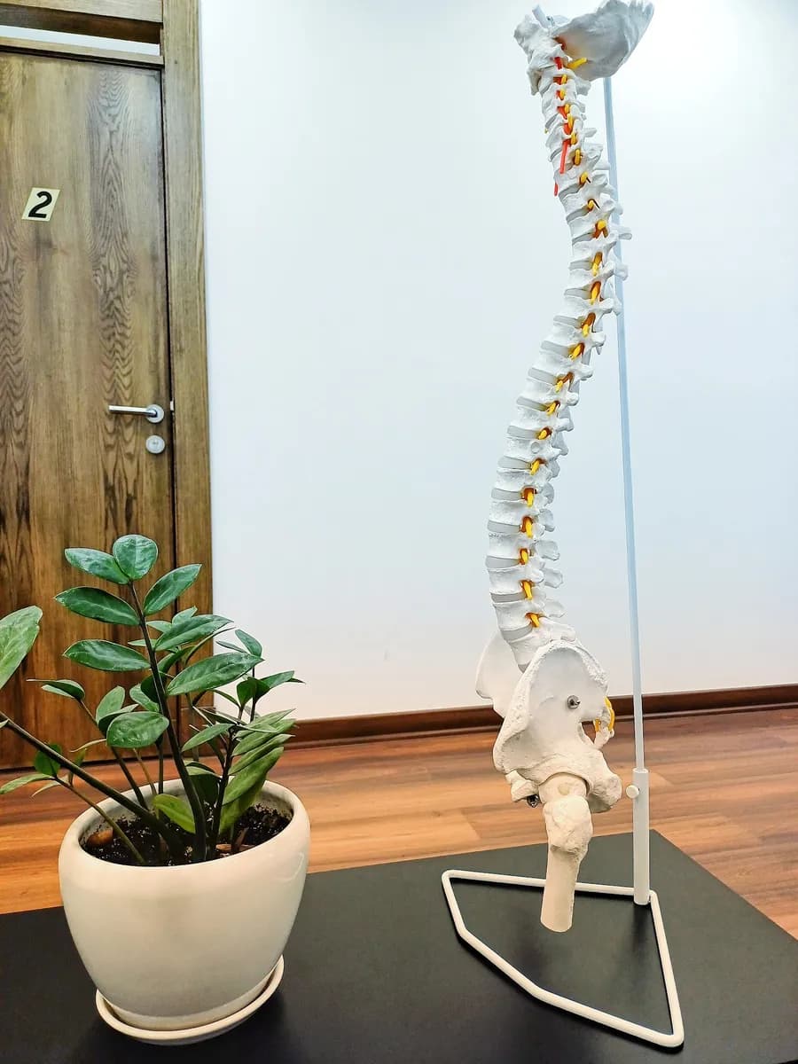 Greyhound Chiropractic Center (Gonstead) — صورة 7