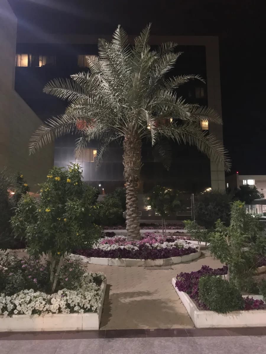 مركز هيا عبدالرحمن الحبيب للجهاز الهضمي — صورة 7
