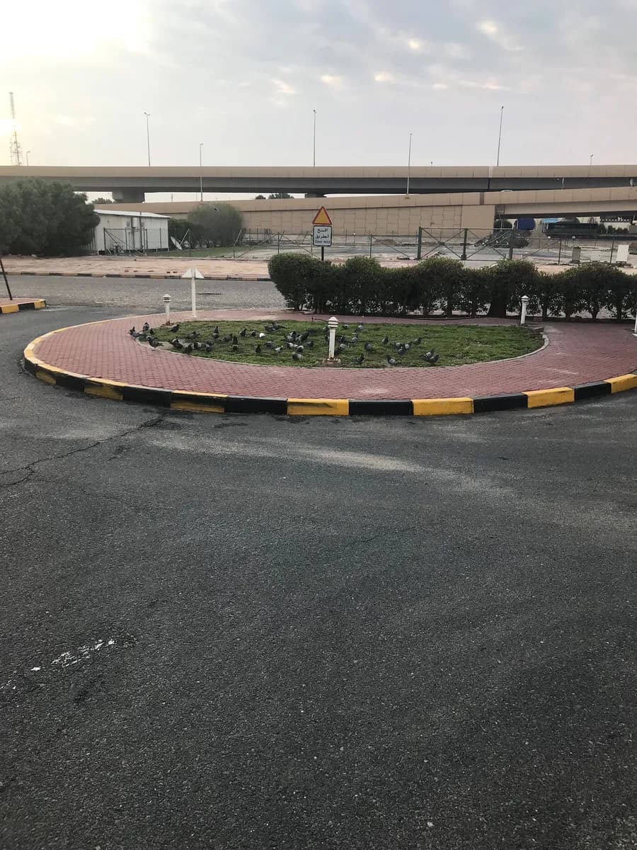 مركز النفيسي للغسيل الكلوي — صورة 8