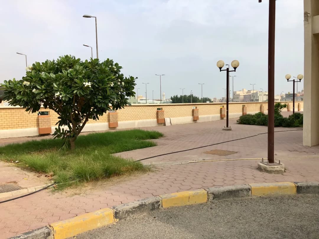 Mubarak Al Kabeer Eastern Health Center — صورة 3