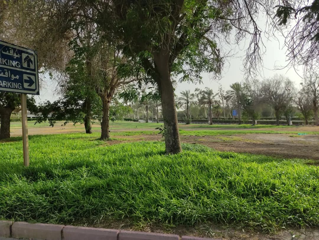 مستشفى جابر للقوات المسلحه — صورة 4