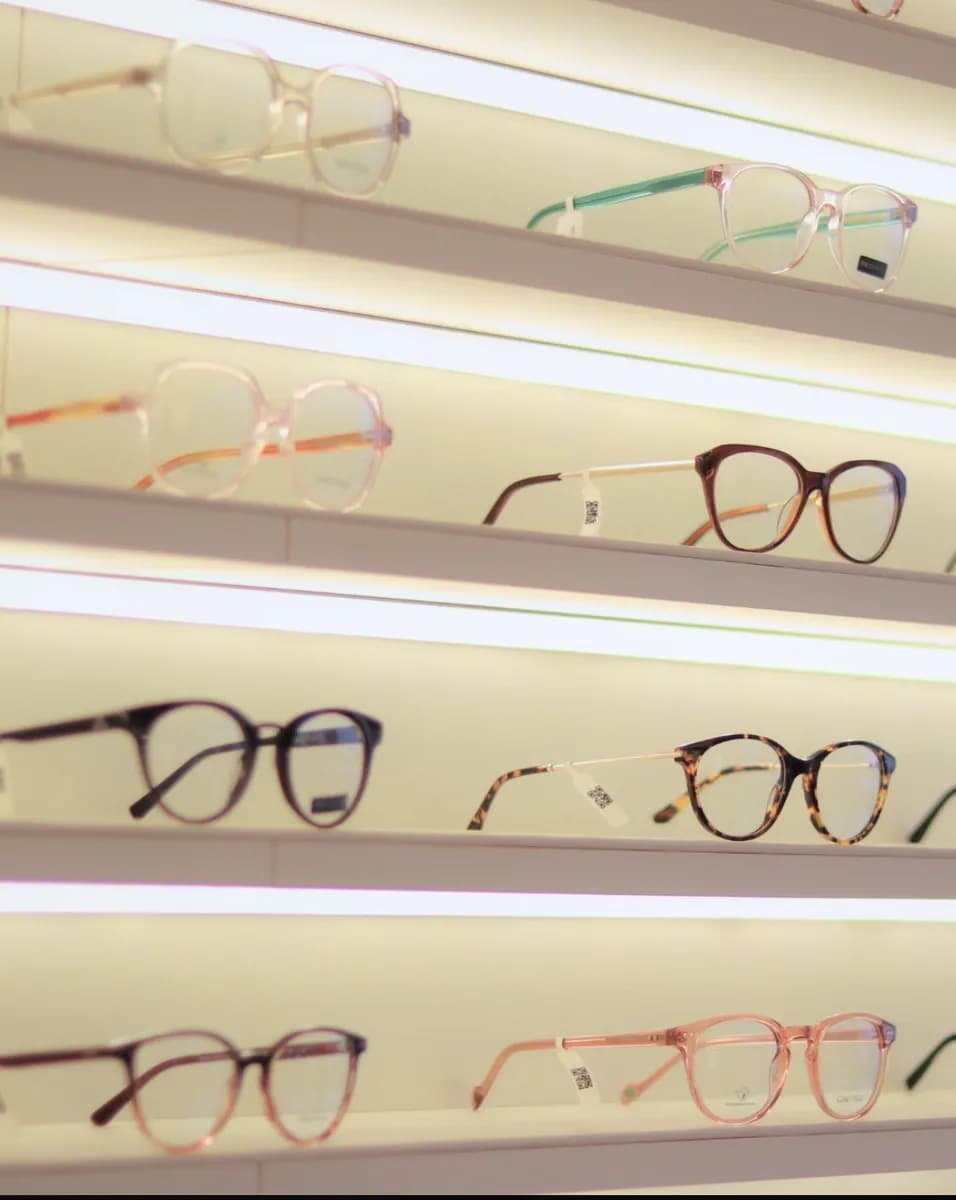 Steiner Vision Germany — صورة 3