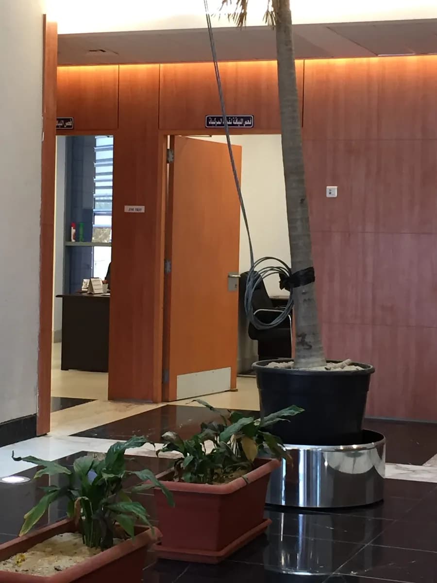 Eye Examination for Driving License & Fingerprint Office — صورة 7