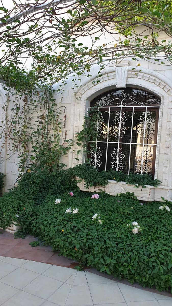 Al Razi Medical Center — صورة 4
