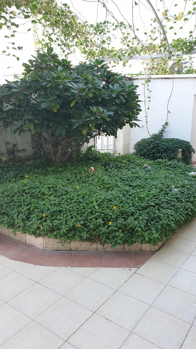 Al Razi Medical Center — صورة 6