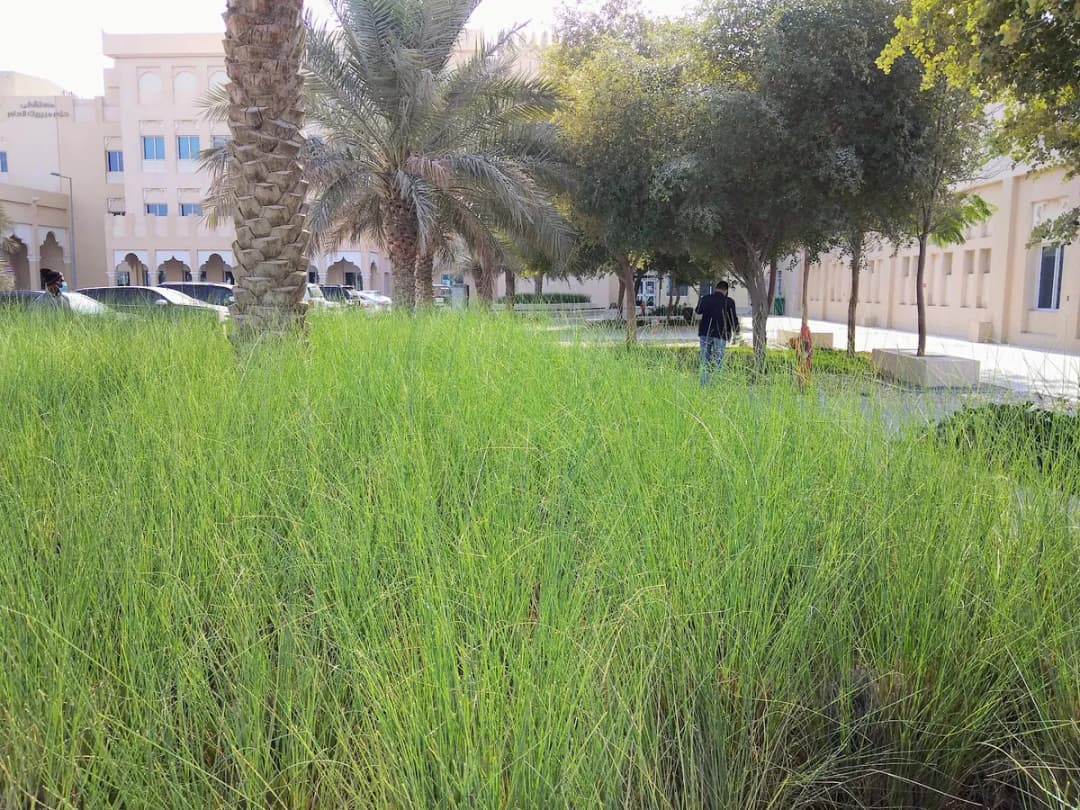 Hazm Mebaireek General Hospital — صورة 6