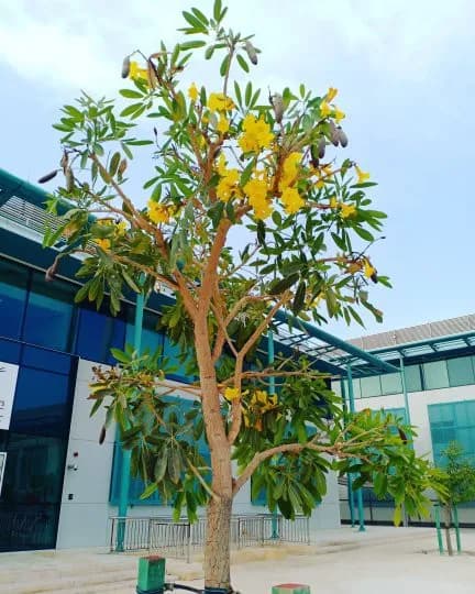 Qatar Airways Clinic — صورة 4