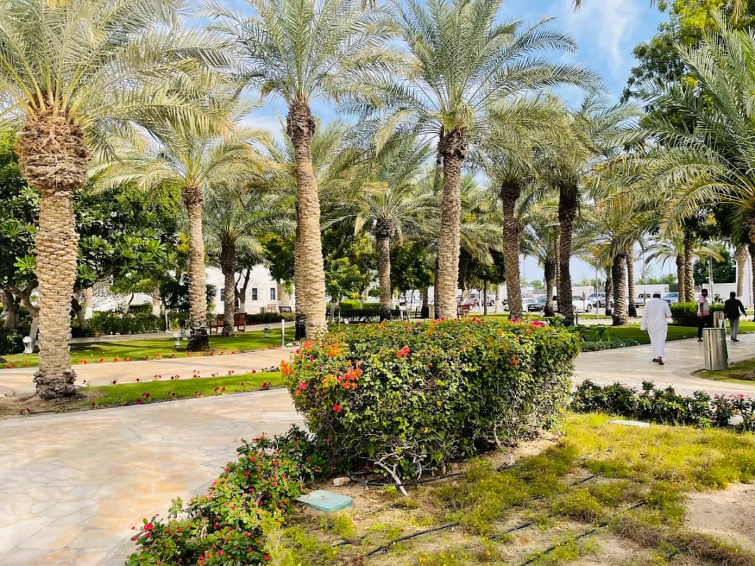 Al Daayen Health Centre — صورة 5