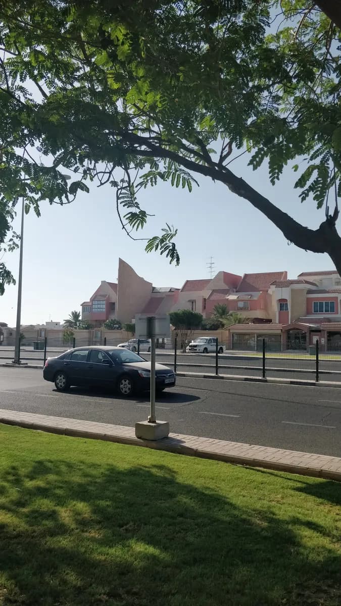 Protection and Social Rehabilitation — صورة 5