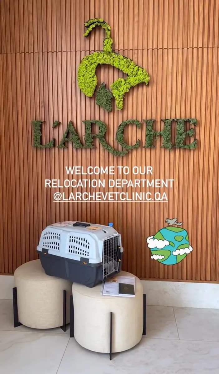 L'Arche Vet Clinic — صورة 8
