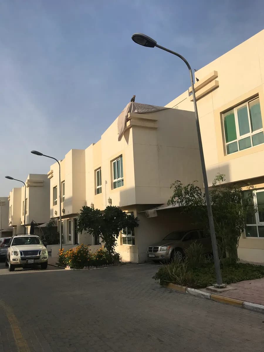 مجمع بيت الصحة — صورة 2