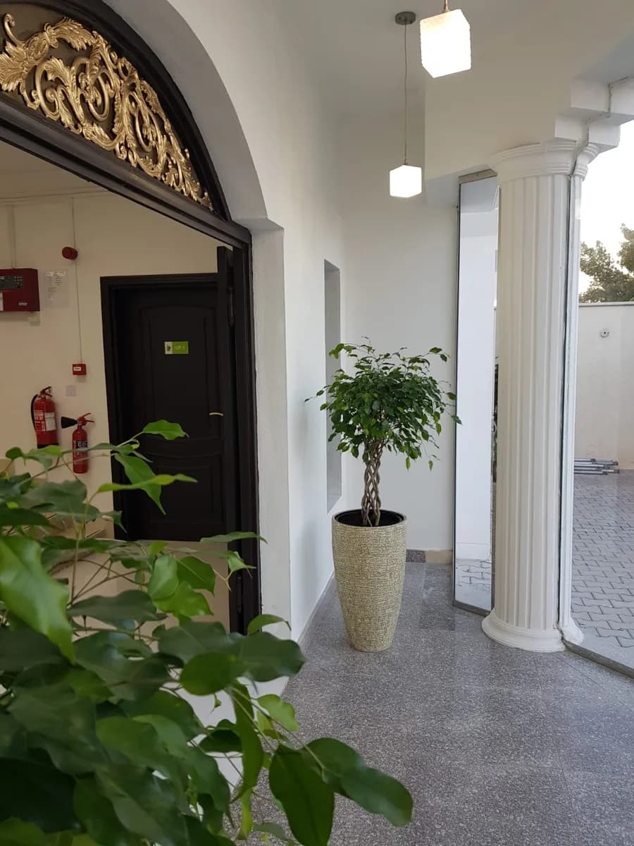 Green Health Dental Clinic — صورة 8