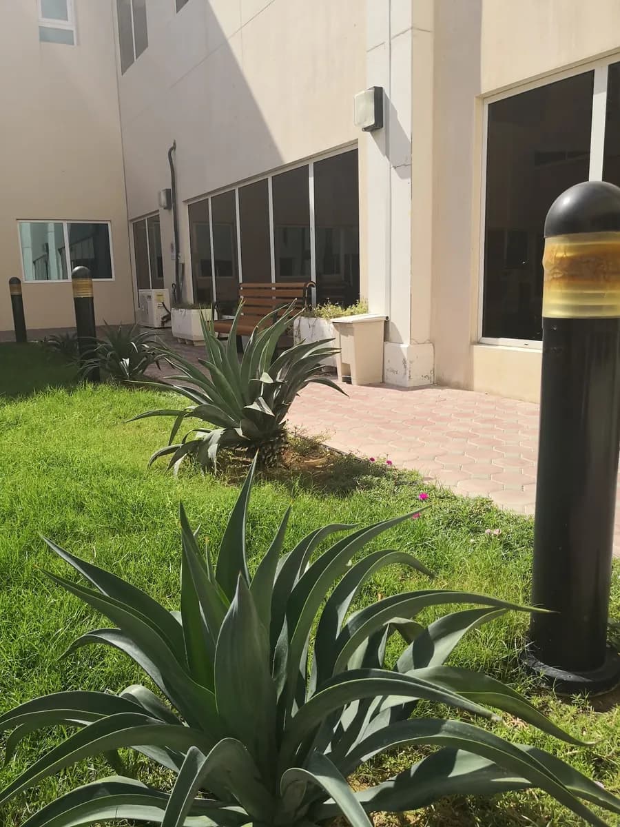 National Center for Cancer Care and Research — صورة 6