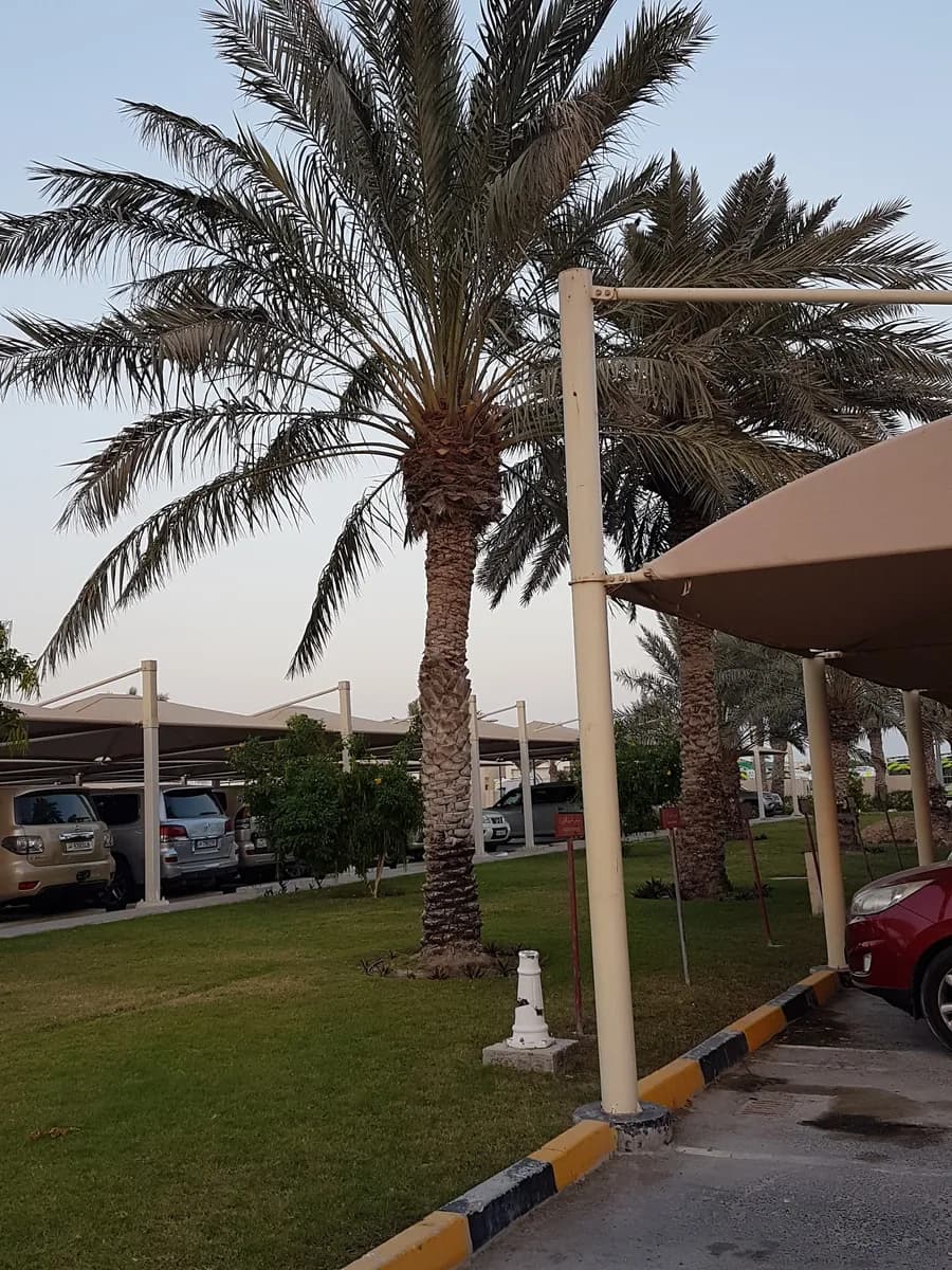 مركز الوكرة الصحي — صورة 3