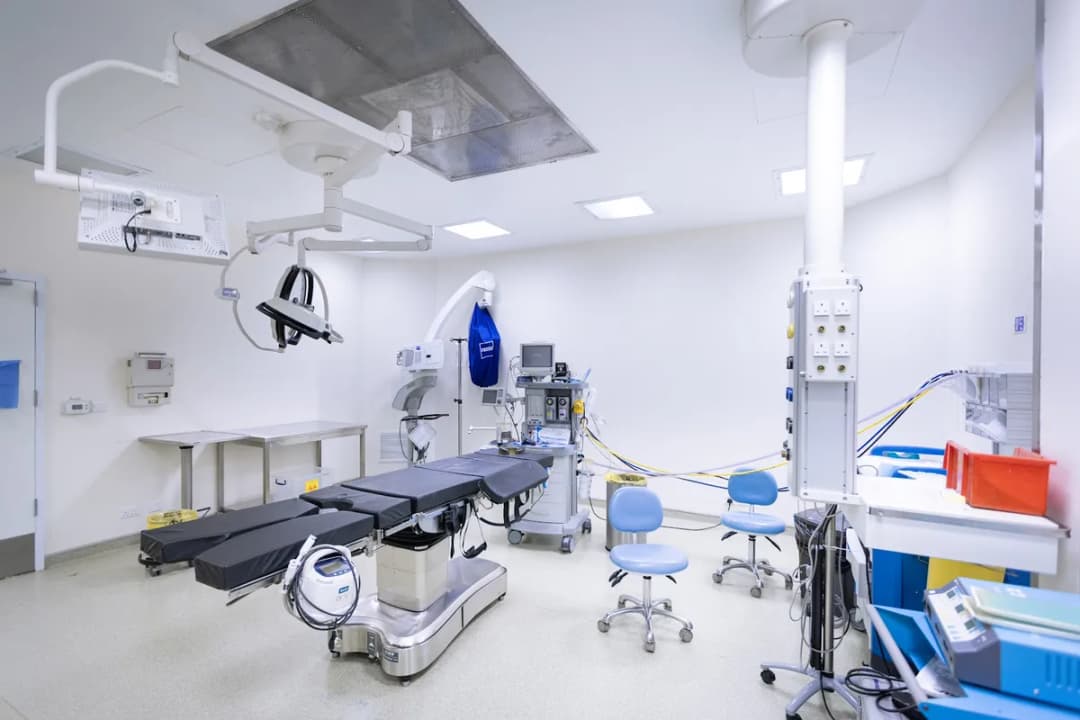 The Clinics — صورة 4
