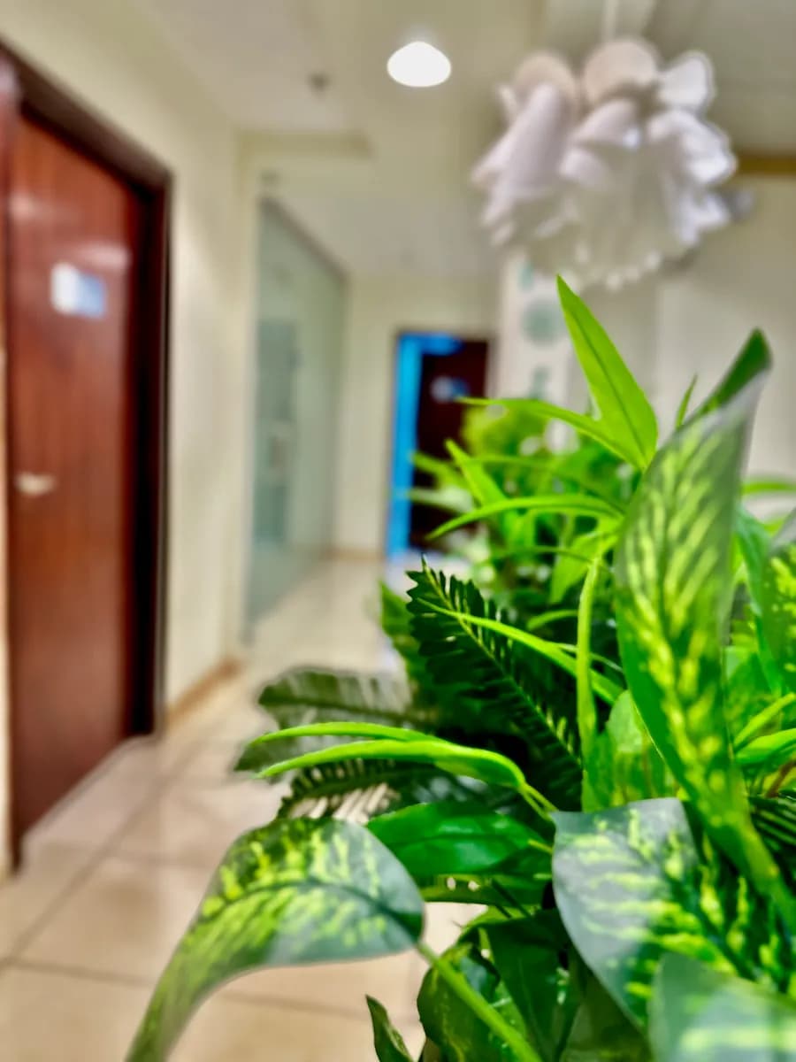 مجمع دنتال هوم لطب وزراعة الأسنان Dental Home Clinic — صورة 6