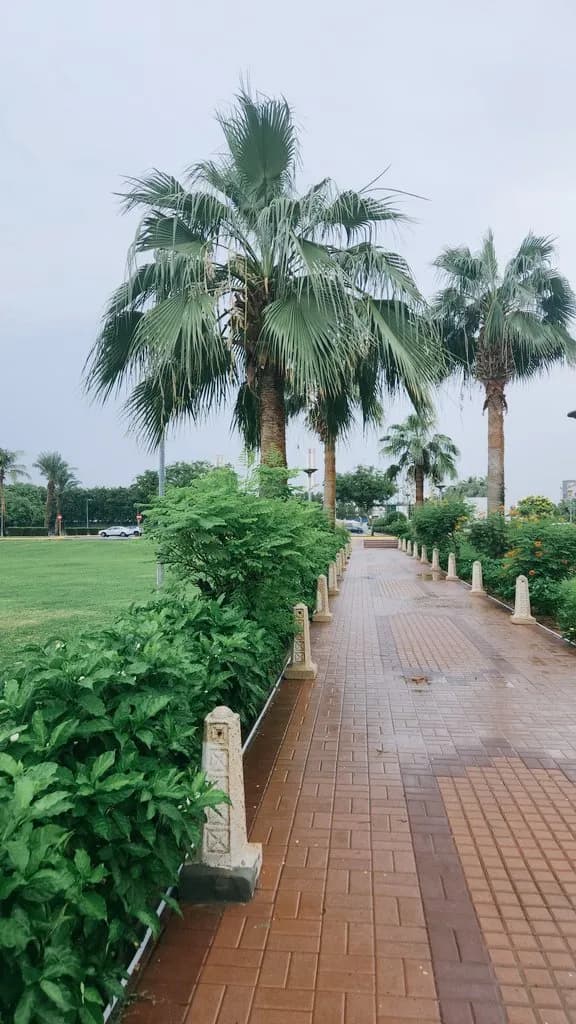 Qassim Armed Forces Hospital — صورة 4