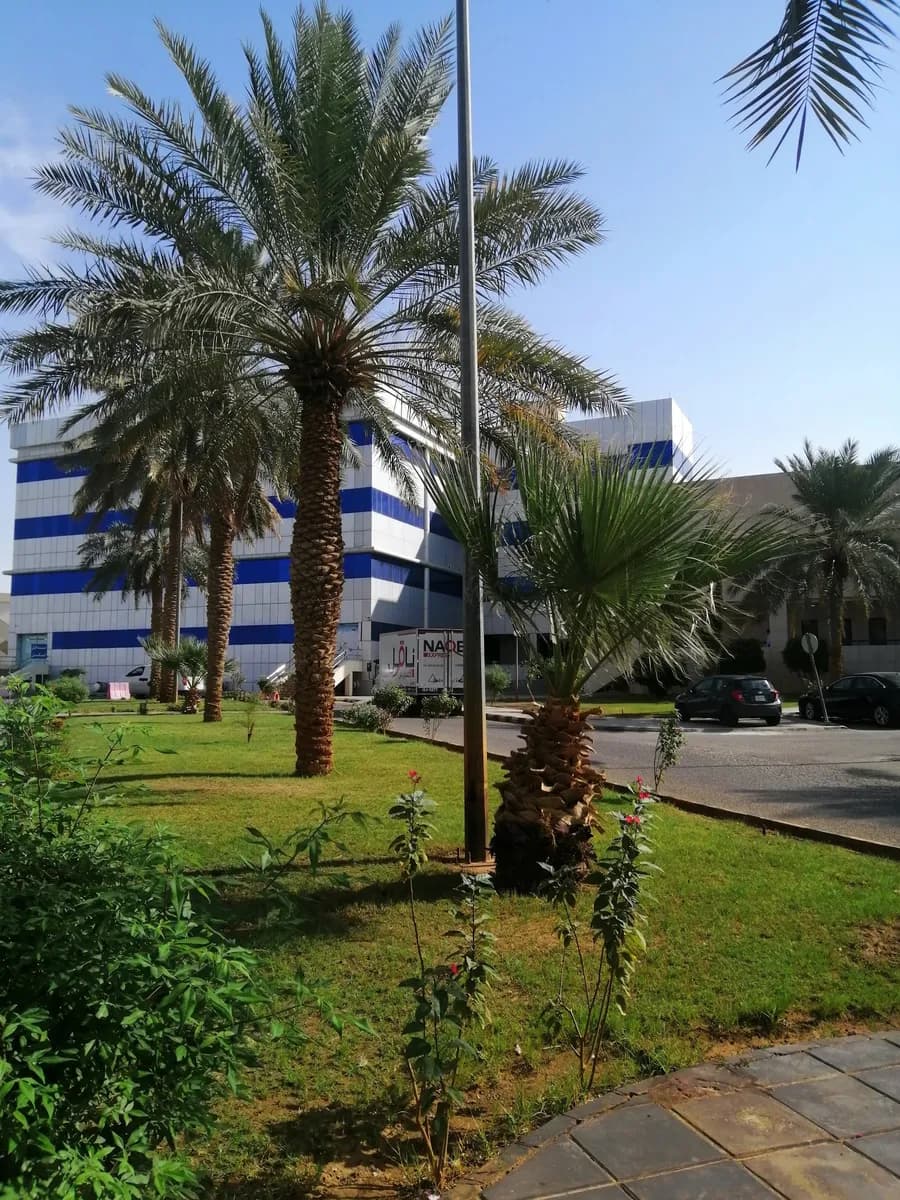 Maternity and Children Hospital Buraydah — صورة 6