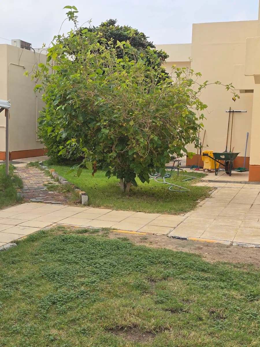 مستشفى الجفر — صورة 4