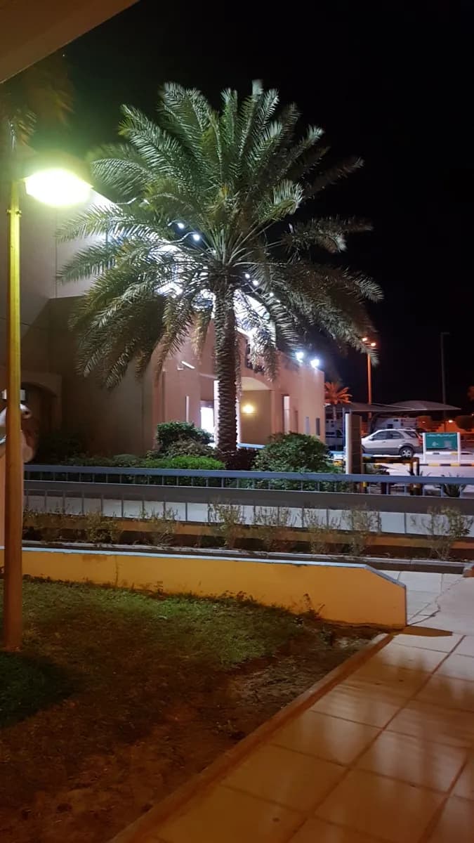 KJO Hospital — صورة 8