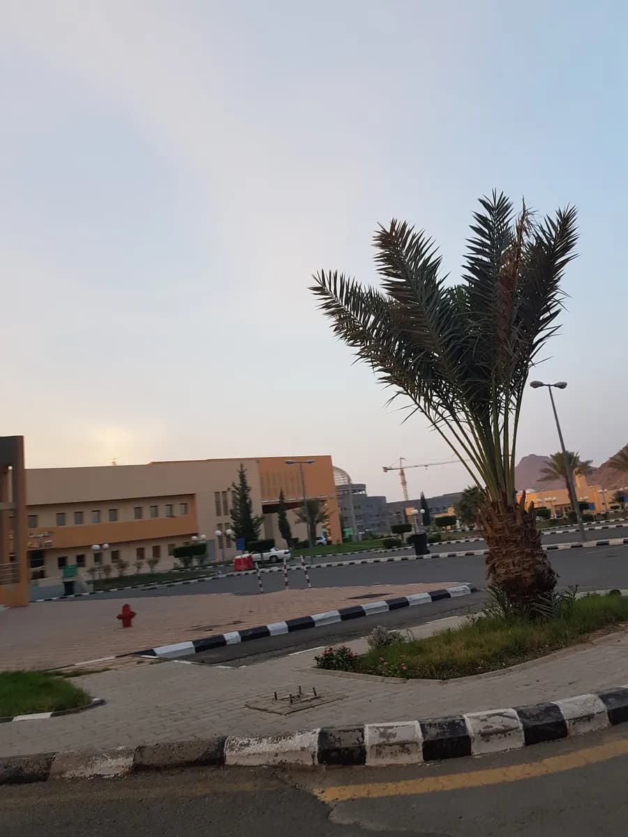 مستشفى الأمير منصور العسكري لطب المجتمع — صورة 6
