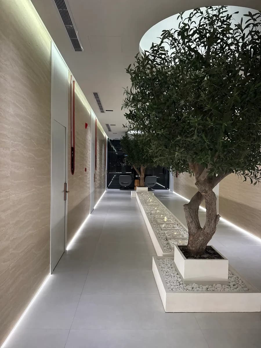 عيادات د.سعيد الطبية للجلدية والتجميل — صورة 7