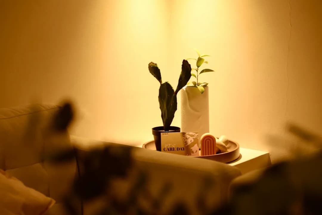 قسم الجلدية والتجميل والليزر فينوس — صورة 5