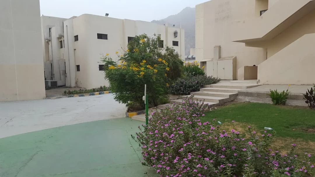 Al Noor Hospital - Dental Clinic — صورة 5