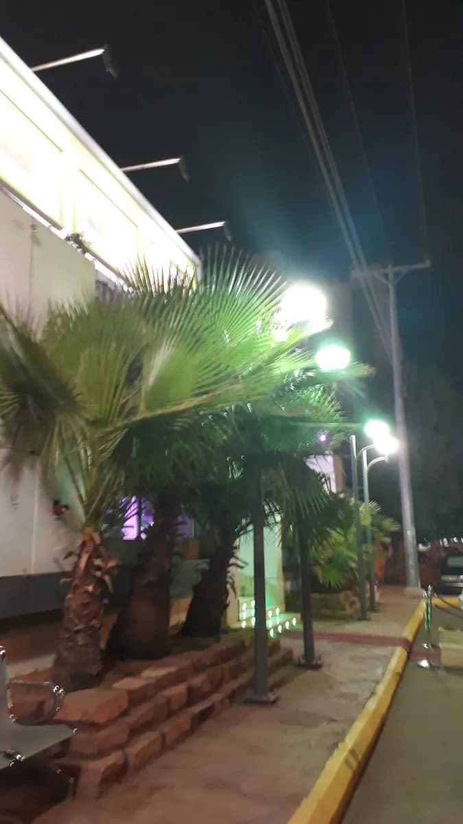 Enayati Medical — صورة 8