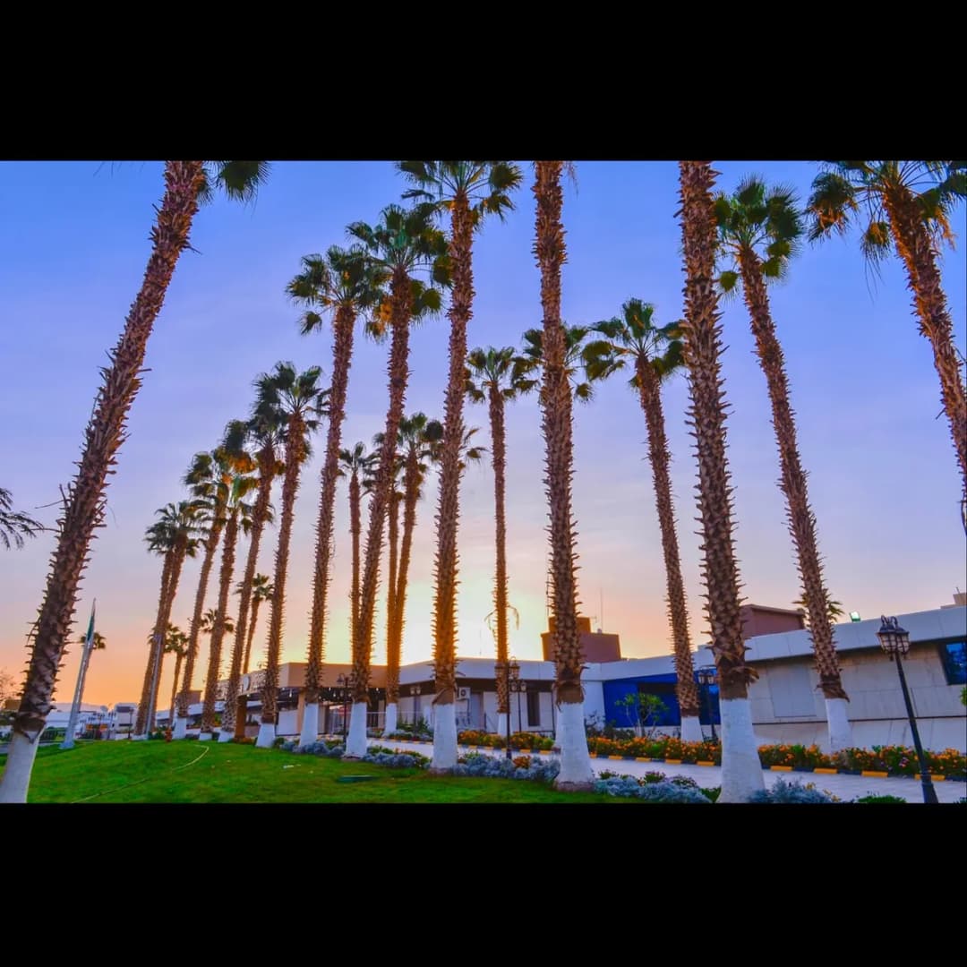 King Khalid Hospital — صورة 2