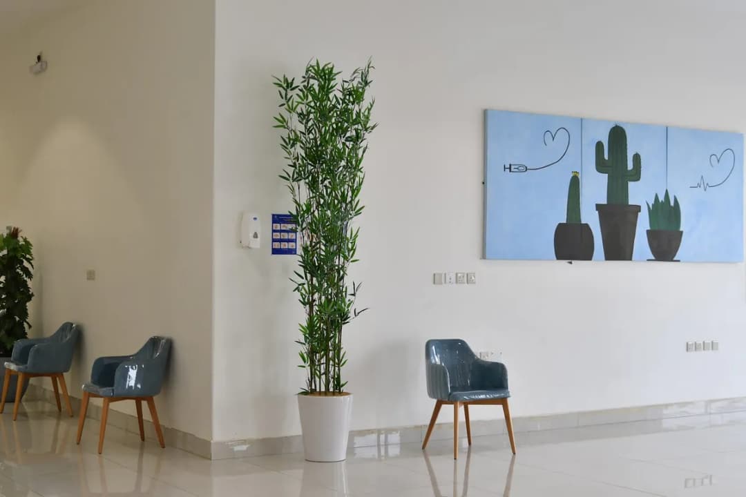 Bluedeem Medical Centre — صورة 8