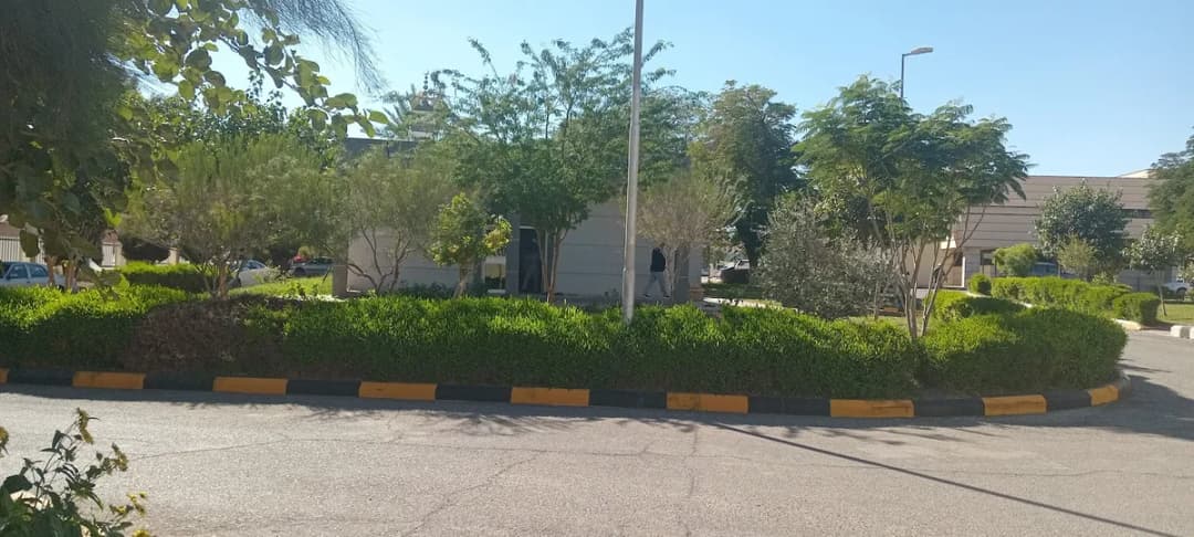 مستشفى البكيرية العام — صورة 7