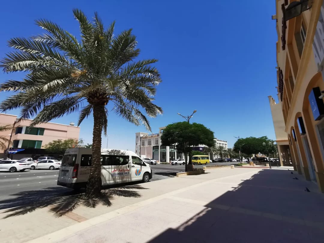 البشاوري للبصريات — صورة 3