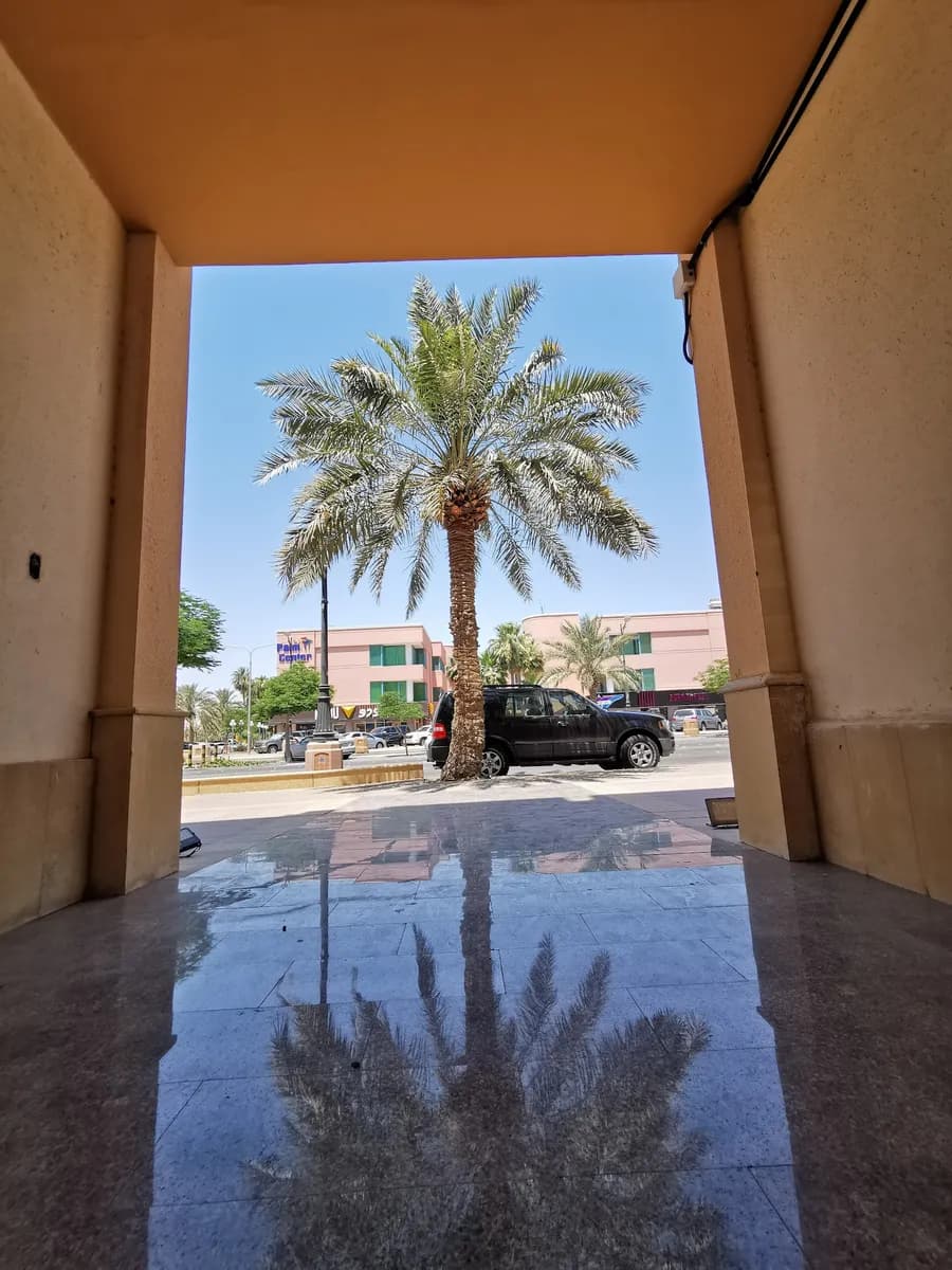 البشاوري للبصريات — صورة 4
