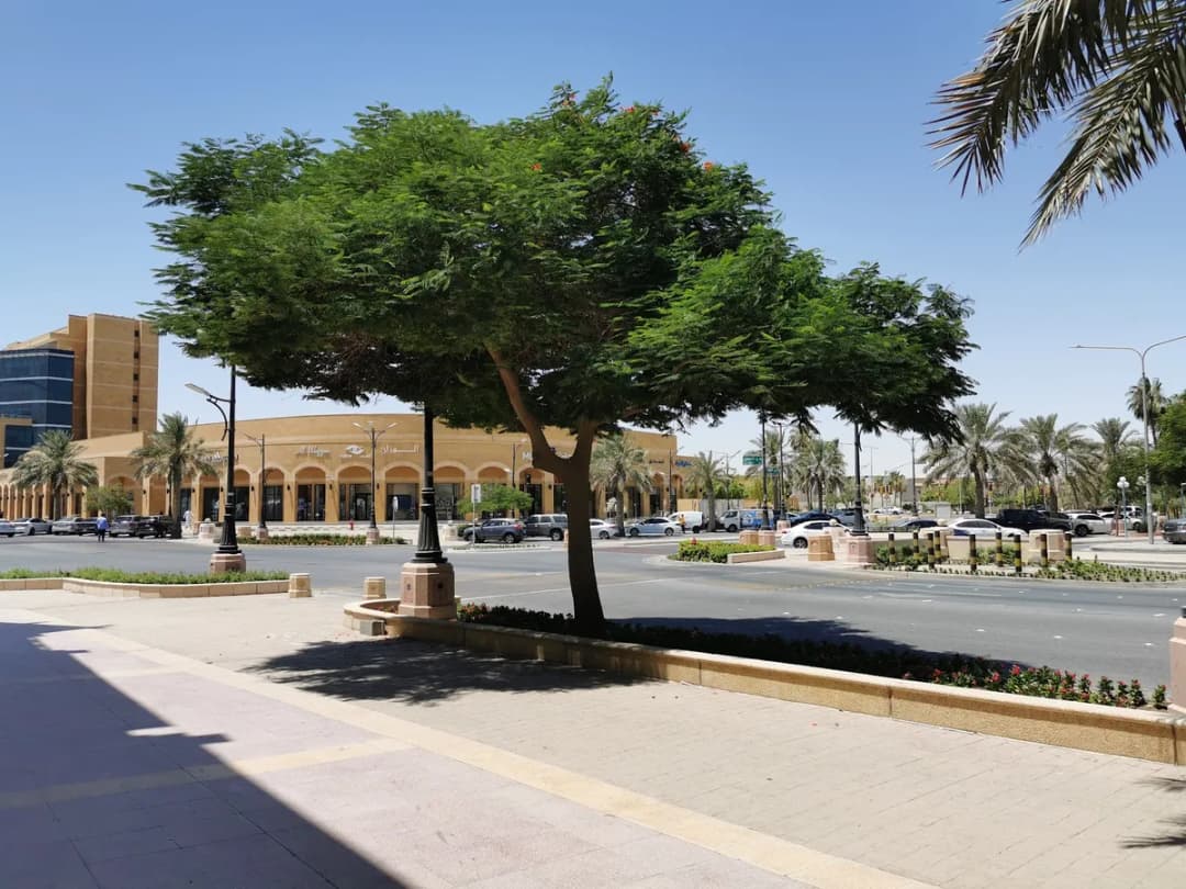 البشاوري للبصريات — صورة 7