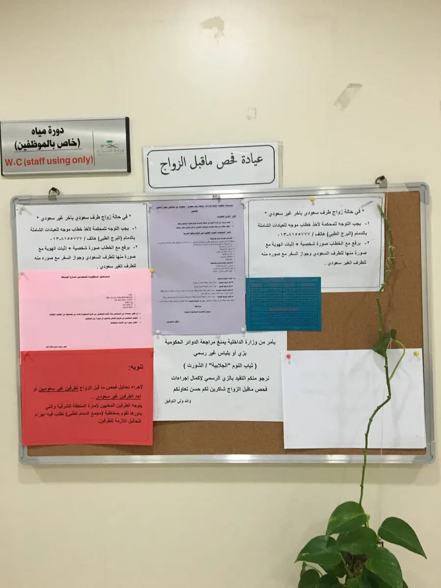 Governmental Hospital Khobar (management of health centers in Khobar) — صورة 7
