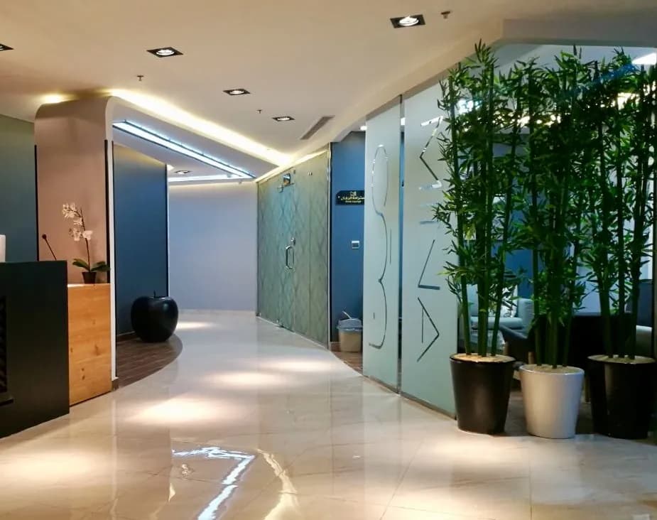مينا لطب الأسنان | MINA Dental Clinic — صورة 6