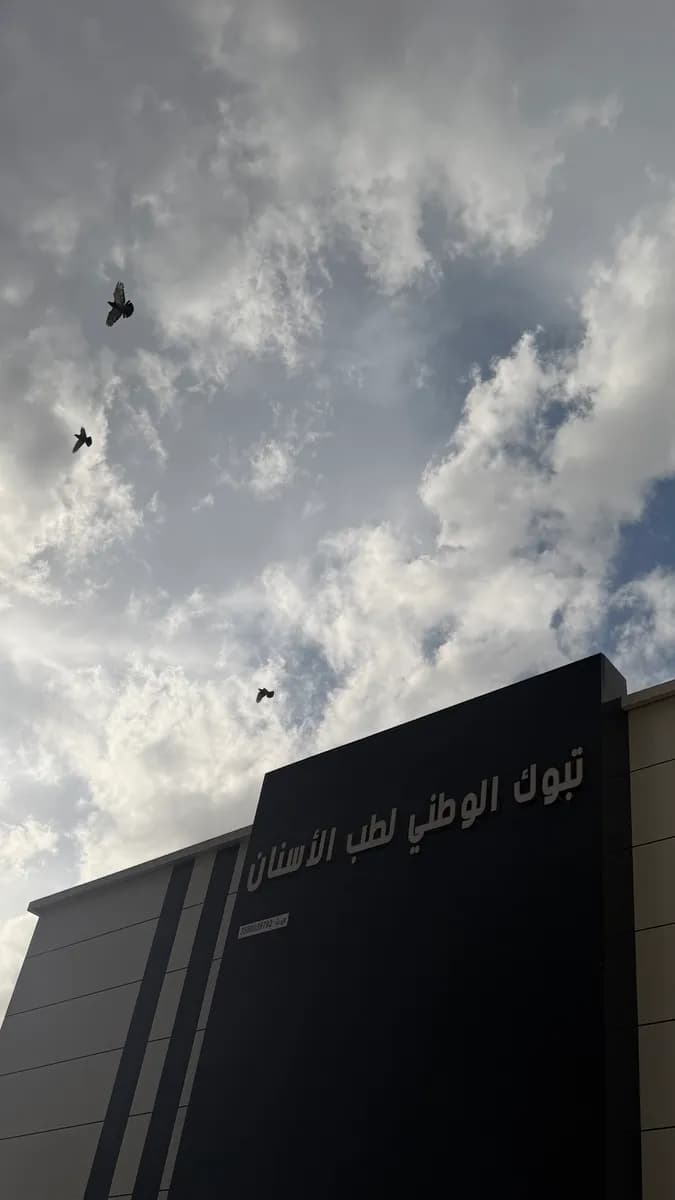 Complex Tabuk National Dental Clinics — صورة 7