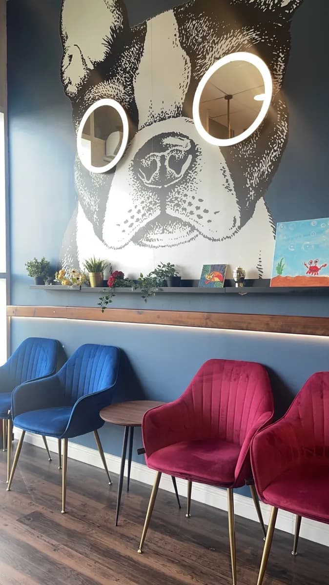 عيادة الفن الثامن البيطرية Art No. 8 Vet Clinic — صورة 5