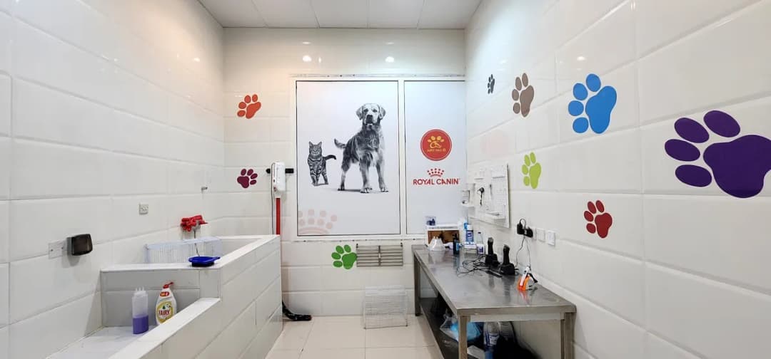 عيادة الفن الثامن البيطرية Art No. 8 Vet Clinic — صورة 8